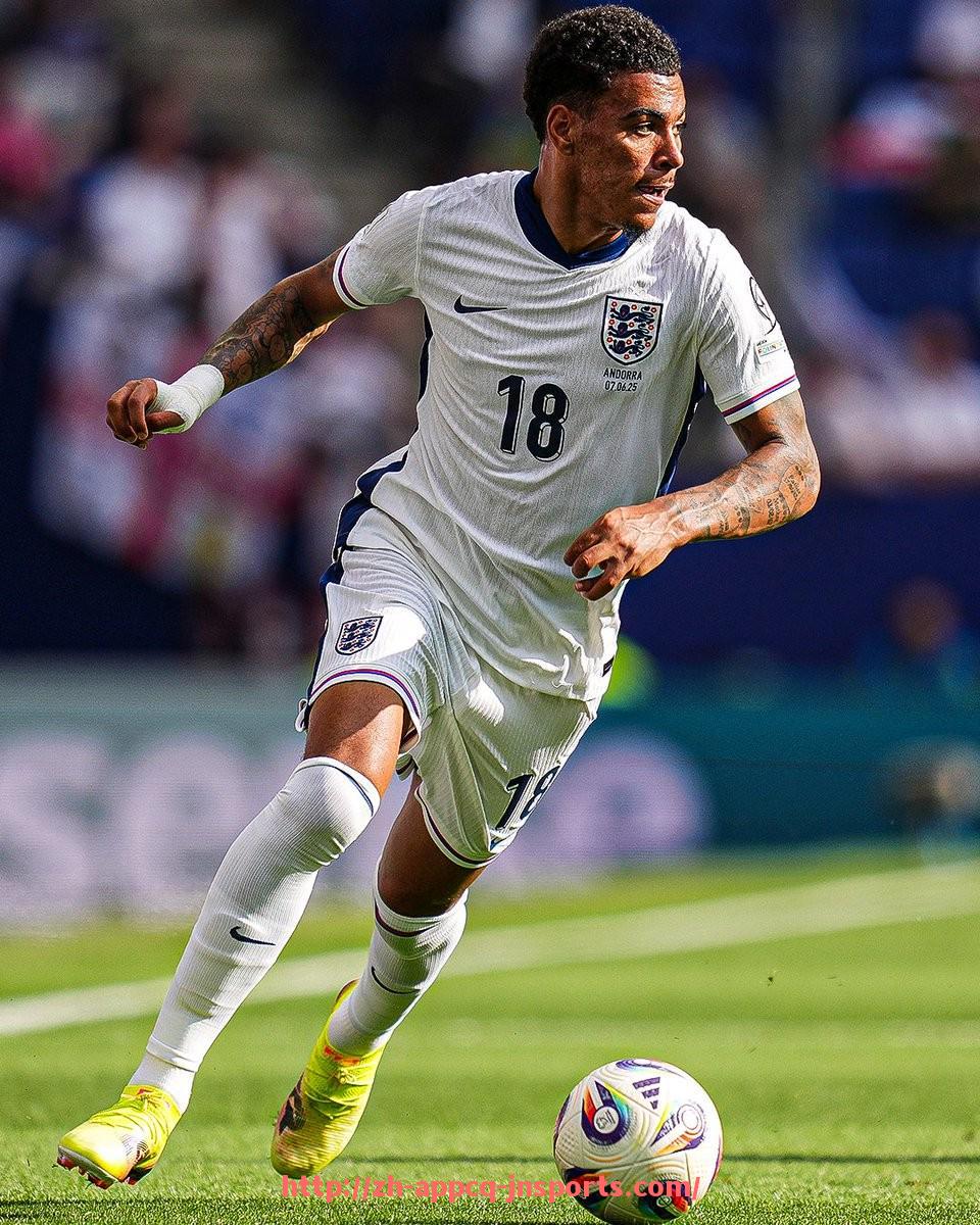 江南体育APP-德甲联赛升降级球队名单及最新动态